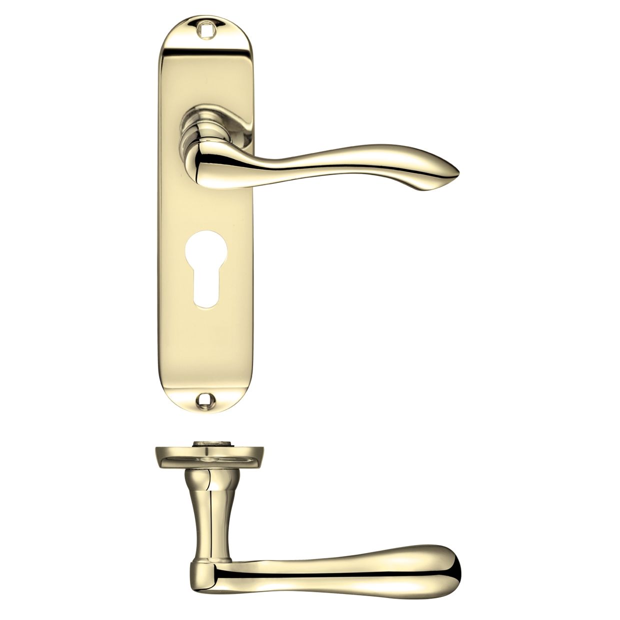 Project Arundel Lever on Europrofile Lock Backplate - 180mm x 40mm