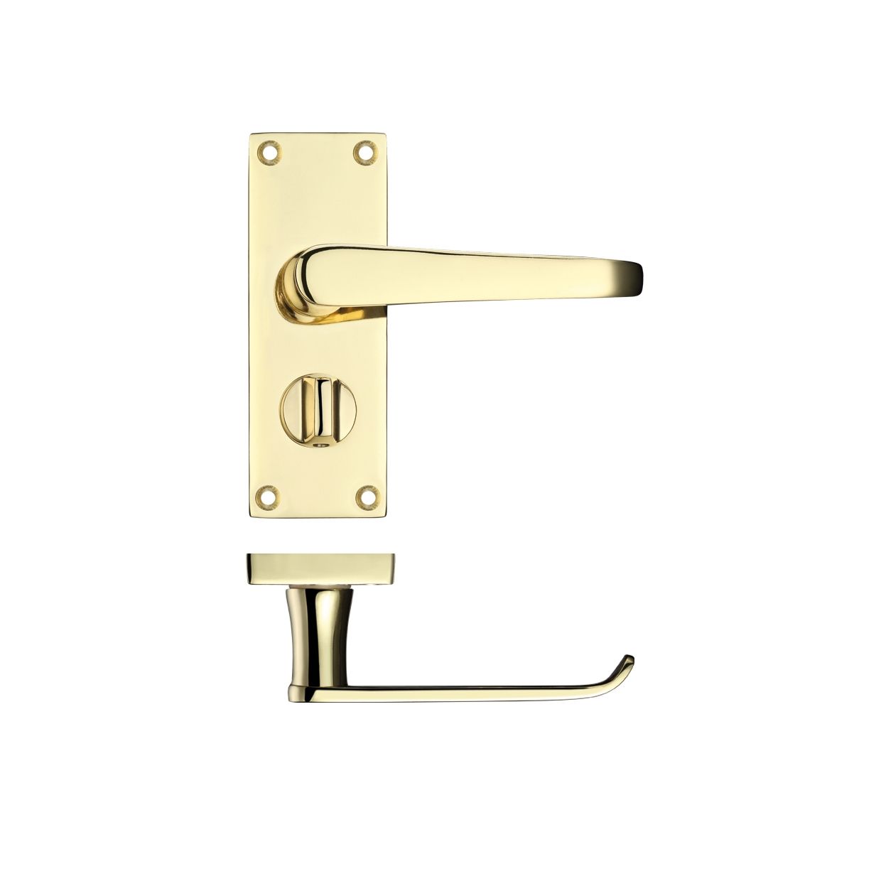 Project Victorian Flat Lever on Privacy Backplate 114 x 40mm