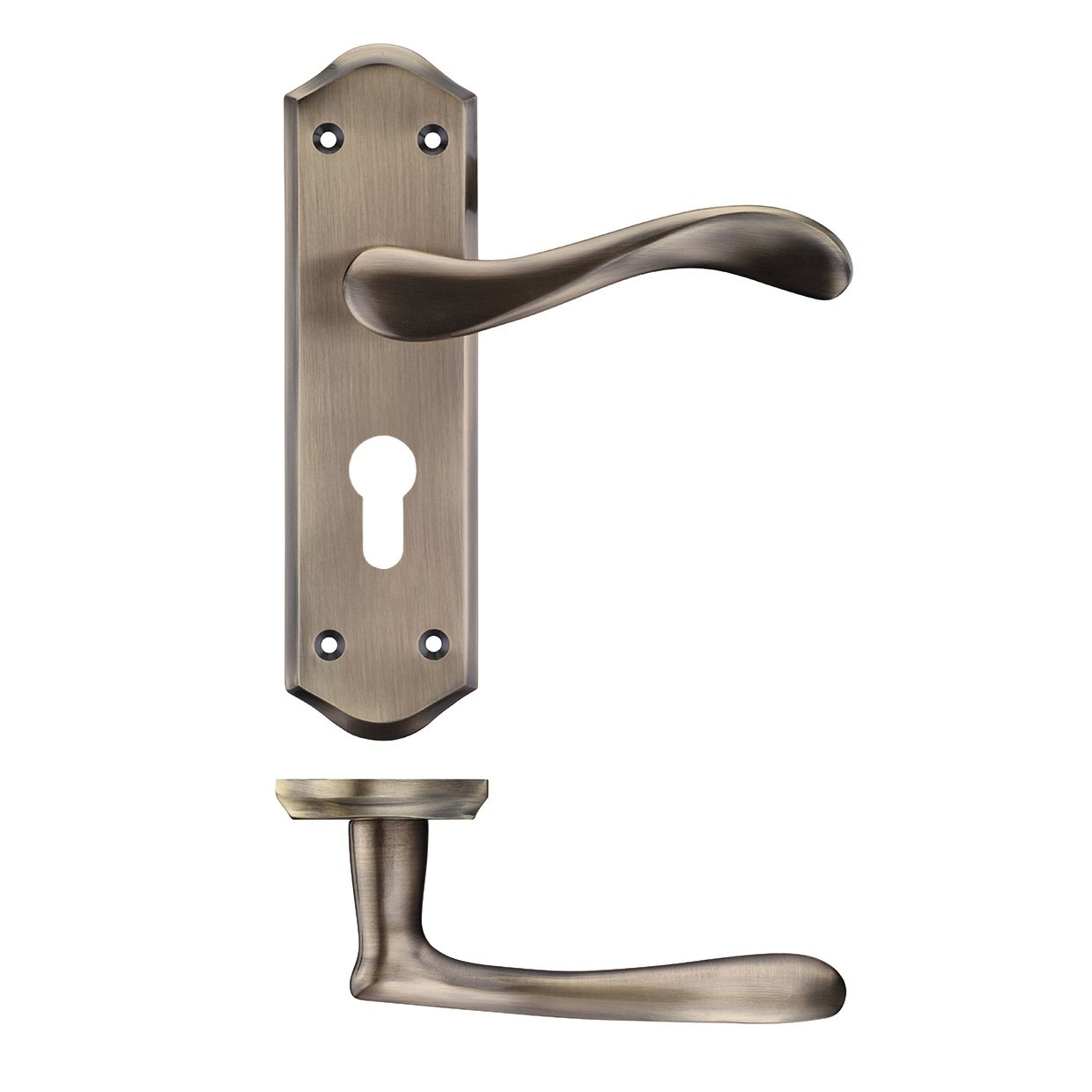 Project Asti Lever on Europrofile Lock Backplate