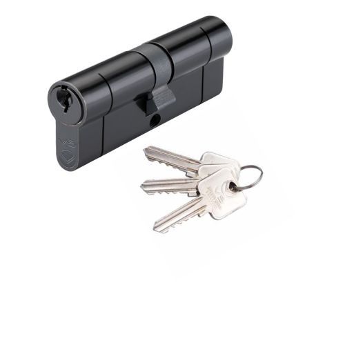 V5 45/35mm  Euro Cylinder and Turn Master Keyed